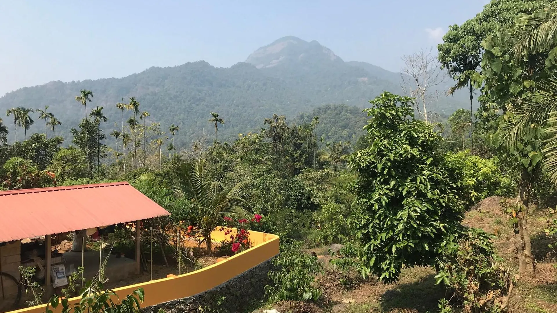 Cozy Heaven Villa Vallikavungal Holiday home